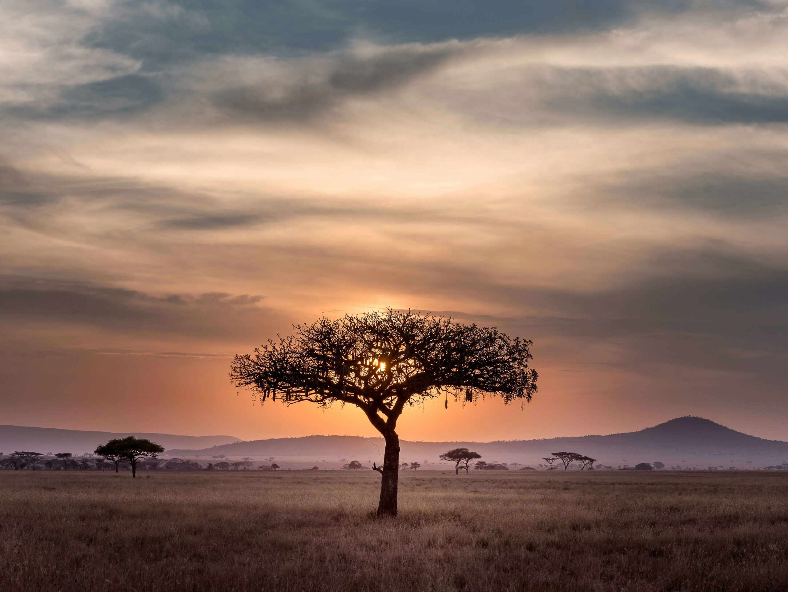 A breathtaking view capturing the diverse landscapes of Africa, showcasing its natural beauty and cultural richness.