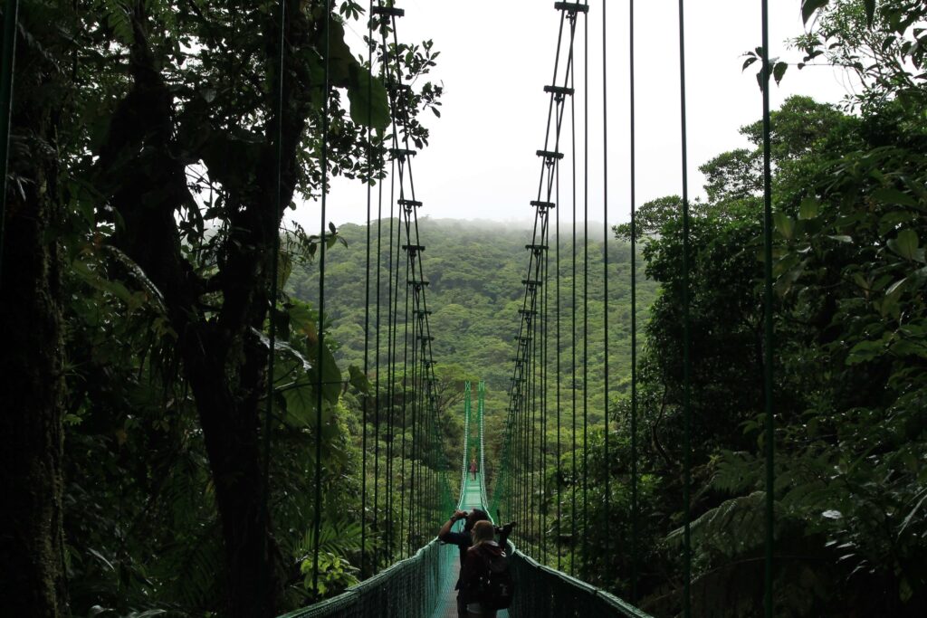 Suspension Bridge in Monteverde, Costa Rica – Scenic view of the famous Selvatura Bridge crossing through the lush cloud forest, offering breathtaking views of the surrounding nature.